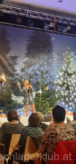 Advent_2024_008