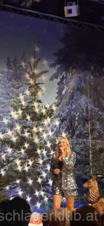 Advent_2024_016